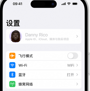 元宝appleID维修服务iPhone设置中Apple ID显示为灰色无法使用