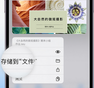 元宝apple维修中心分享iPhone文件应用中存储和找到下载文件