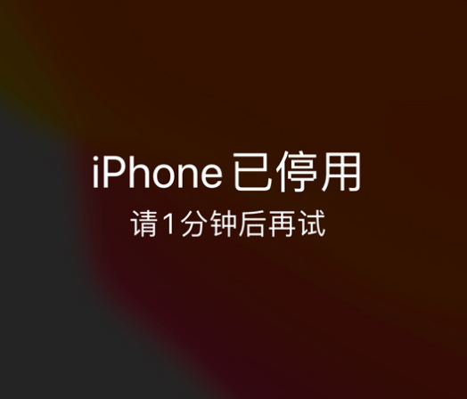 元宝苹果手机维修分享:iPhone 显示“不可用”或“已停用”怎么办？还能保留数据吗？ 