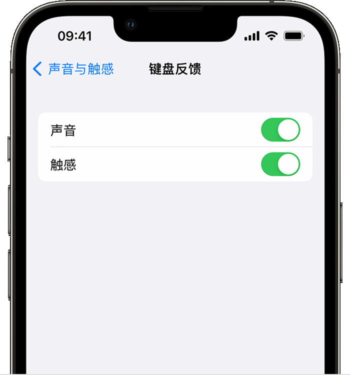 元宝苹果14维修店分享如何在 iPhone 14 机型中使用触感键盘 