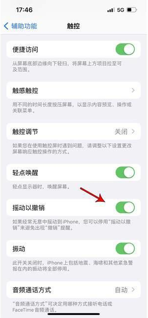 元宝苹果手机维修分享iPhone手机如何设置摇一摇删除文字 